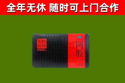 武山县回收阿胶