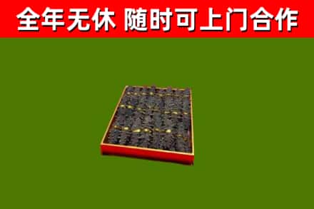 武山县回收海参